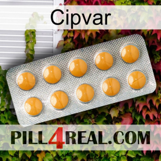 Cipvar levitra1